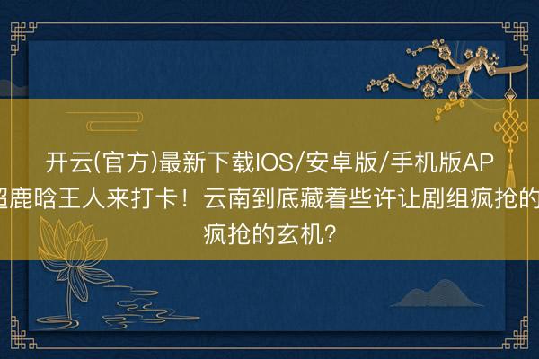 开云(官方)最新下载IOS/安卓版/手机版APP 邓超鹿晗王人来打卡！云南到底藏着些许让剧组疯抢的玄机？