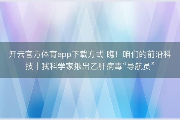 开云官方体育app下载方式 瞧！咱们的前沿科技丨我科学家揪出乙肝病毒“导航员”